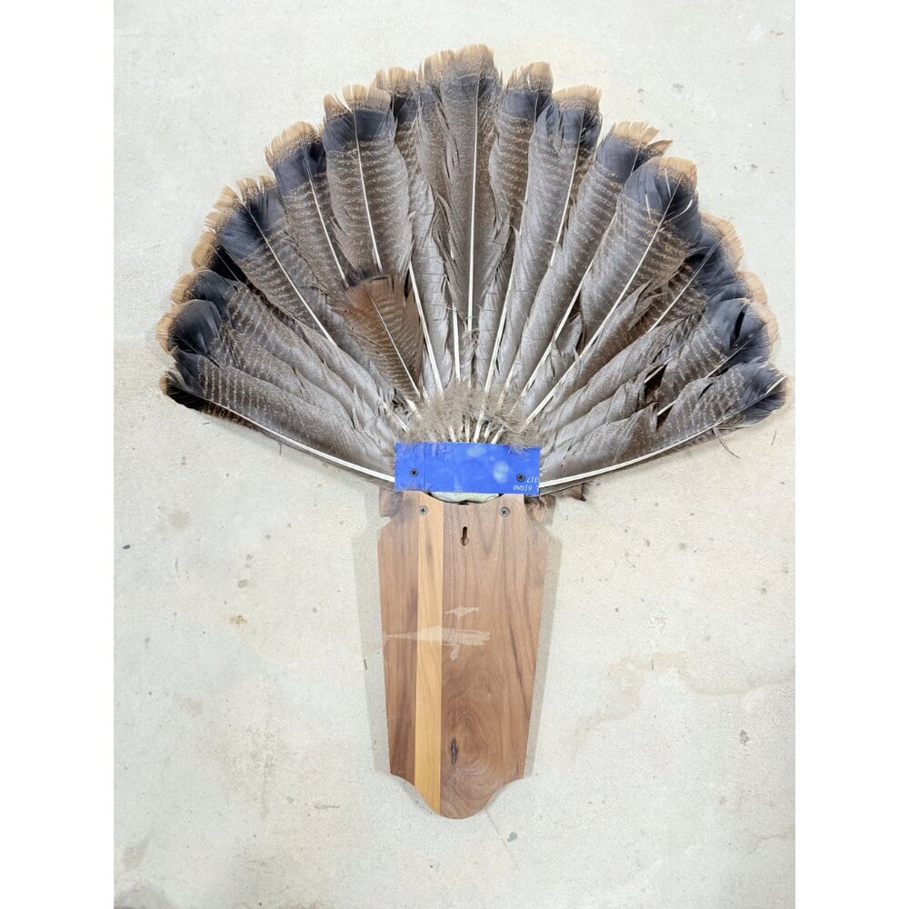 Hunting Mount Wild Turkey Hunt Trophy Tail Beard Mount 29” Wood Plaque Panel Tax - Picture 12 of 12